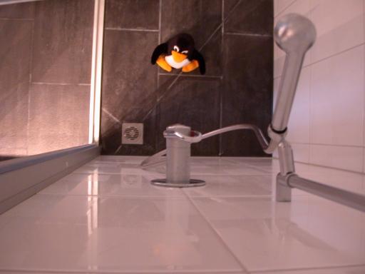 Nackt unter der Dusche